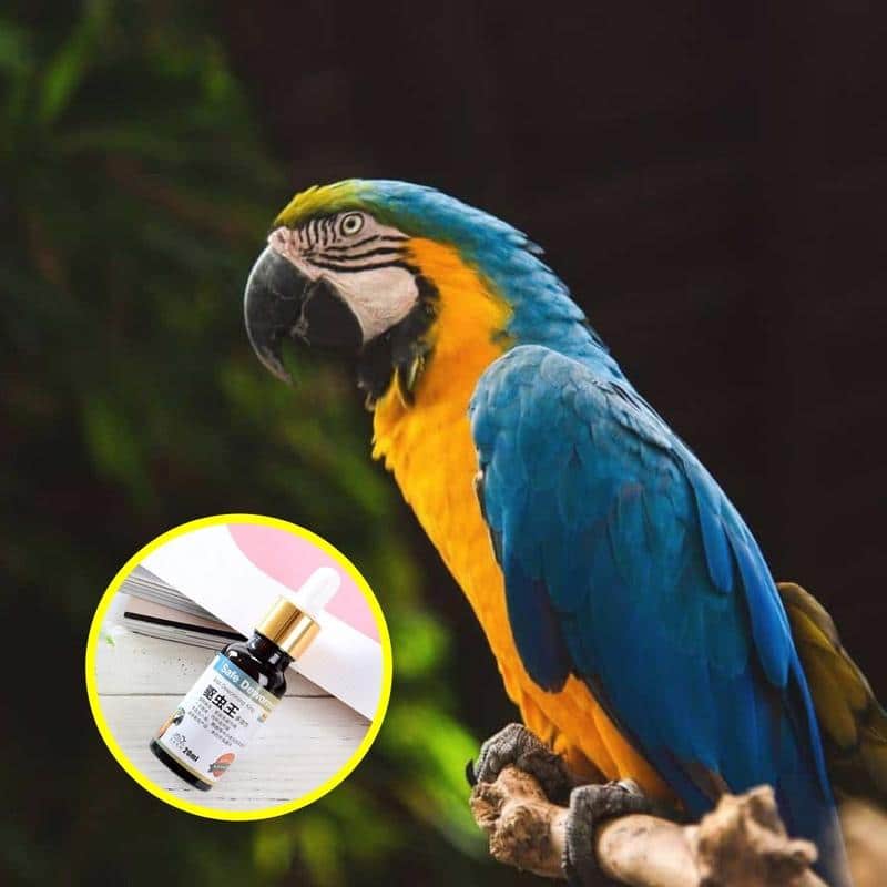 „PlantGenic“ paukščių kirminas - Image 3