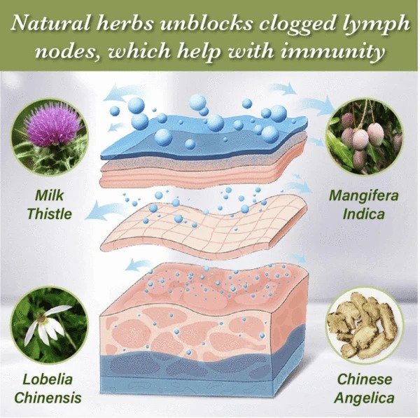 Biolita Limphatic Care Pleistras (5/10/20 vnt.) - Image 3