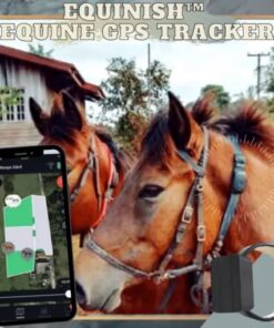 Equinish Equine GPS sekiklis