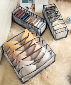 Apatinių drabužių laikymo dėžutė